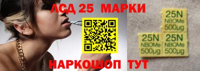 СК Новодвинск