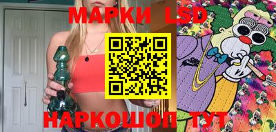 СК Новодвинск