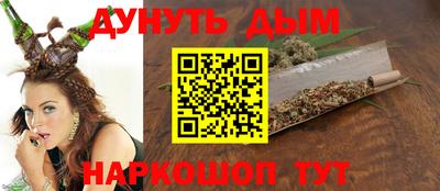 СК Новодвинск