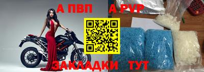 СК Новодвинск