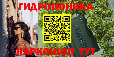 СК Новодвинск