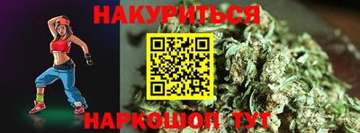 СК Новодвинск
