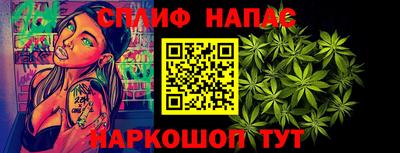 СК Новодвинск
