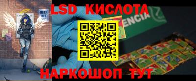 СК Новодвинск