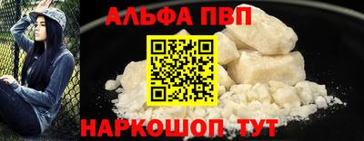 СК Новодвинск