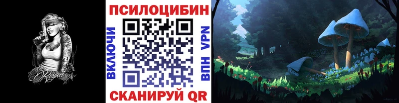 Псилоцибиновые грибы Psilocybe  Соль-Илецк 